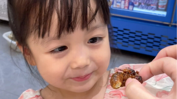 หมูน้อยผู้กล้า! ไม่กลัวแมลง!