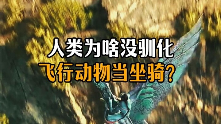 ทำไมมนุษย์ถึงไม่สามารถฝึกสัตว์บินได้ให้เป็นพาหนะ?