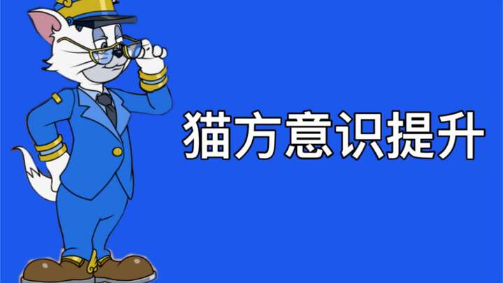 [Chiến lược] Làm thế nào để rèn luyện ý thức của mèo? Hãy để tôi nói cho bạn biết từ bốn khía cạnh!