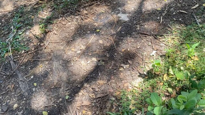 micro bantam..bilis natapos tumakbo eh hahahhaha