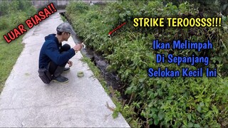 PANENN BROO!! Di Sepanjang Selokan Ini Ikan MELIMPAH || FULL STRIKE!!