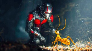 ANT MAN AND THE WASP QUANTUMANIA "Avengers" Trailer (4K ULTRA HD) 2023