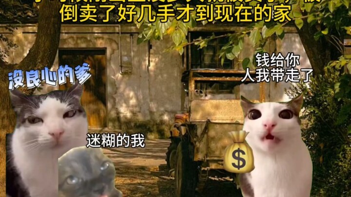 天崩开局