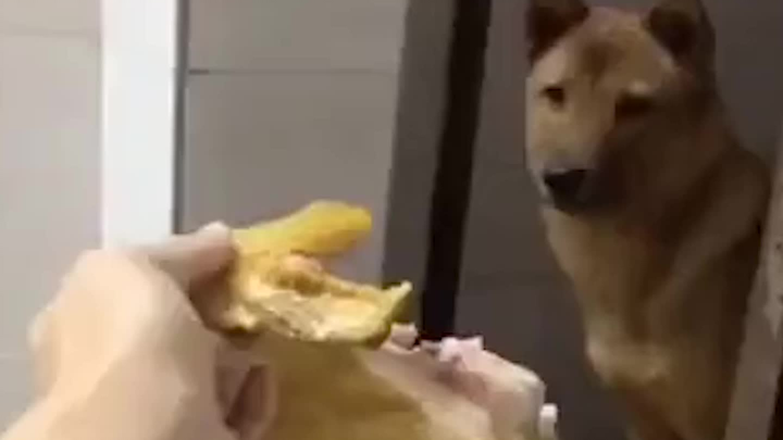 Are you just bluffing with your skills?