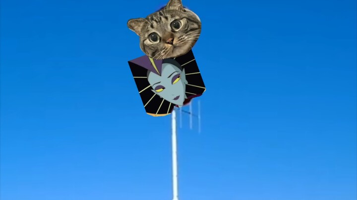 Professional air-raid sirens are just a bit too much for Lady Shiji.