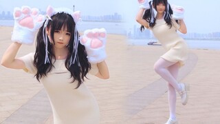 【窝窝头】Bo Peep Bo Peep❤小白猫，白又白，兔子尾巴抖起来~【HB to 蝌蚪】
