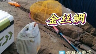 钓鱼这个东西吧，有人为鱼，有人为渔，有人为娱，有人喂鱼，你是属于哪种？