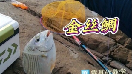 عندما يتعلق الأمر بالصيد، يصطاد البعض من أجل السمك، والبعض الآخر من أجل الصيد، والبعض الآخر للمتعة، 