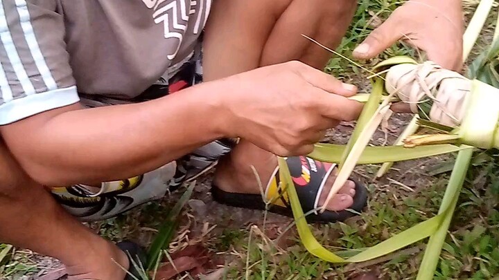 pogaran sa among manok nga c eying