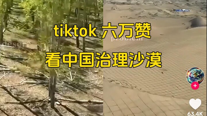 China’s Cutting-Edge Sand Control Tech Goes Viral on TikTok, Racks Up 60K Likes