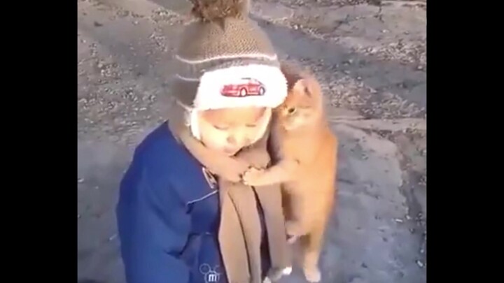 All my talent points are in “cat-cuddling mode”! This little orange cat just can’t stop cuddling hum