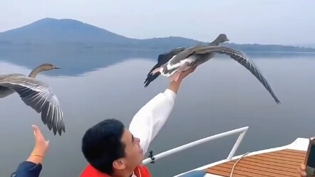 منظر نادر لا يُرى إلا قليلًا [متشابك اليدين]