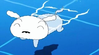 I really want to have a dog like Xiaobai