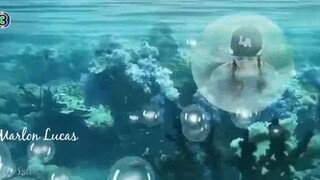 ❤️MR. MER MAN ❤️TAGALOG DUBBED EPISODE 21(THAILAND FANTASY DRAMA)