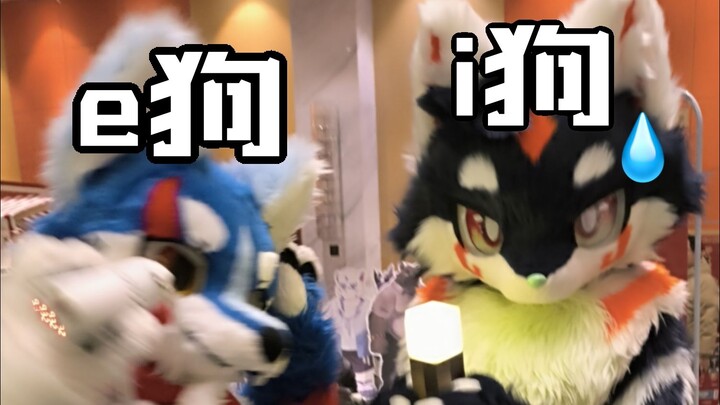 同一套毛，但是i狗和e狗分别演绎会发生……