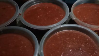 Lợn Tết 2022 _ Lợn tết 140 kg _ thịt lợn tết vùng cao _ tiết canh lợn tết