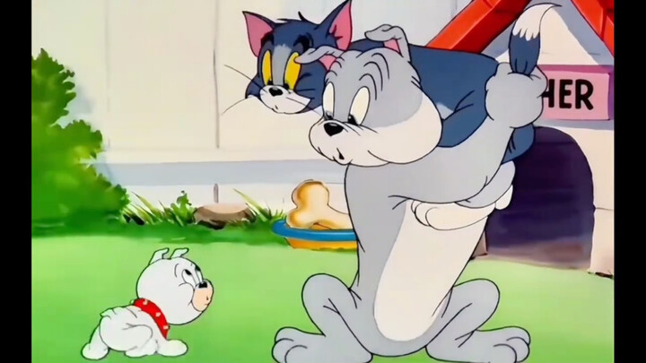 The three of them have hilarious expressions.