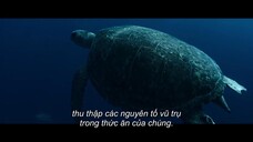 Vũ trụ EP 4 [Sub Việt]