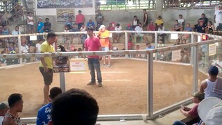 Candijay 3rd Fight (win)