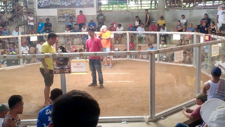Candijay 3rd Fight (win)