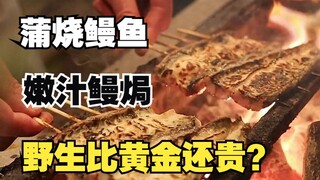 How much does it cost to enjoy Japan's most expensive fish? Even the second time around, it's still 