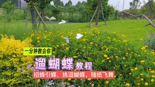 Learn how to take butterflies for a walk in the park in just one minute! All you need is a stick, a 