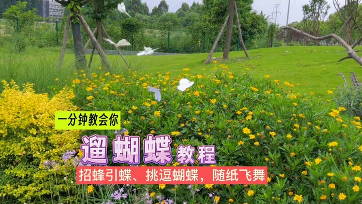 تعلم في دقيقة واحدة كيف تخرج الفراشات للتنزه في الحديقة! فقط بعصا وسلك وورقة بيضاء، هيا بنا نخرج الف