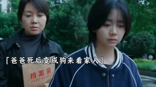 只是换了个方式来守候你