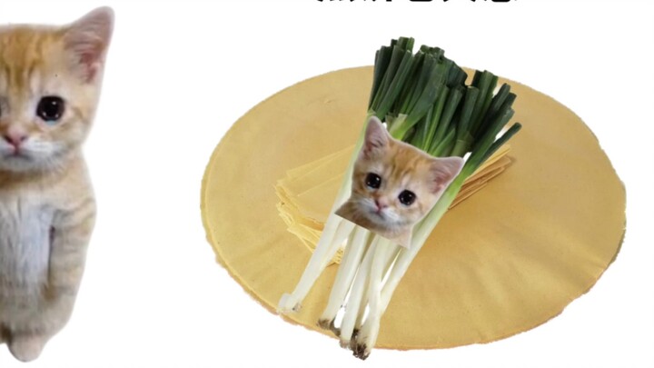 Croissant cat, but with green onion pancakes