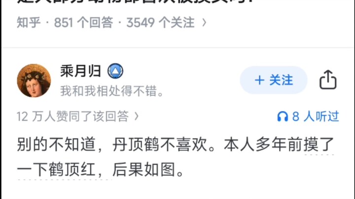 是大部分动物都喜欢被摸头吗？