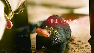 "拥有一只家财万贯哈哈哈"