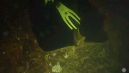 shipwreck diving