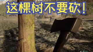 【Con trai của rừng】Cây này tuyệt đối đừng chặt!