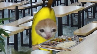 Banana Cat went to get food and ended up eating a mouse's head