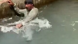 snake in the water