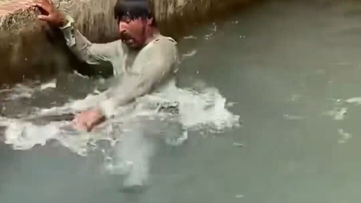 snake in the water