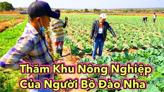 Tình Cờ Phát Hiện và Thăm Quan Khu Nông Nghiệp của Người Bồ Đào Nha ở Châu Phi
