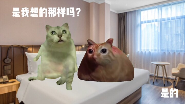 【猫meme】关于凌晨被隔壁房情侣嗯嗯连吵2小时这件事…
