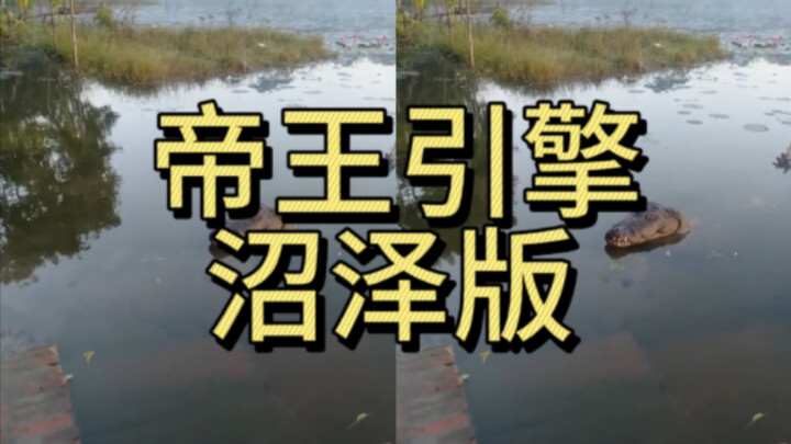 Swamp… Big Dog… Emperor… Engine…