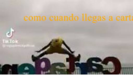 papimicky destruye a vendedor de leña