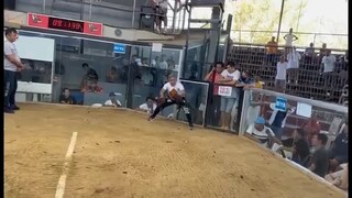 McLean Hatch in action (MaxBlade GF) @ Igpit Arena