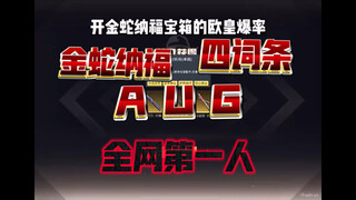 金蛇纳福 4词条AUG 全网第一人！