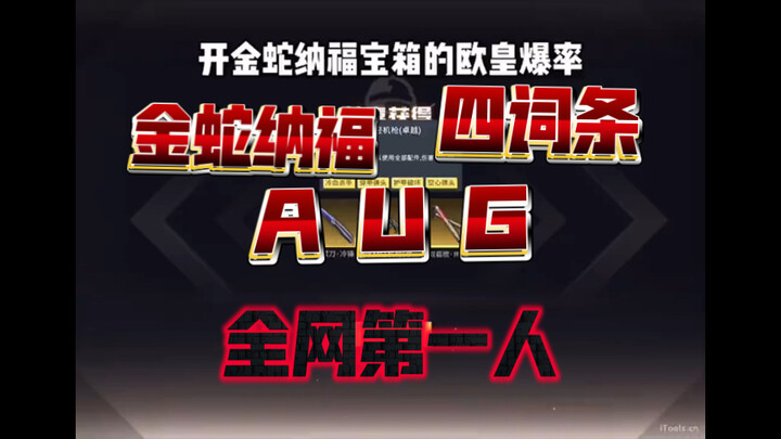 金蛇纳福 4词条AUG 全网第一人！