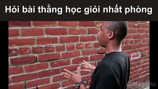 Mùa thi kiểu(Nguồn Mega me)