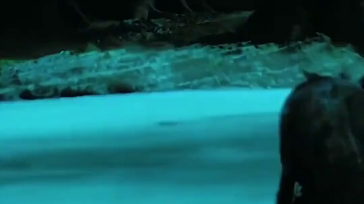 Foreign Netizens Show the Terrifying Sound of Aztec Death Whistles