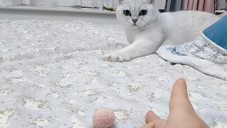 I'm so excited about all the toys I love to play with, hahaha