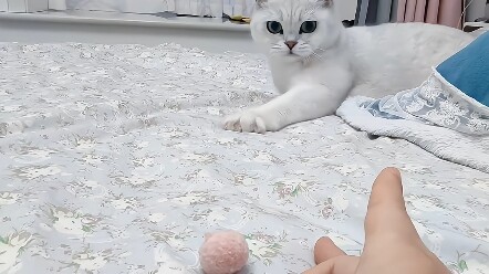 Đồ chơi nào cũng khiến mình phấn khích quá ha ha