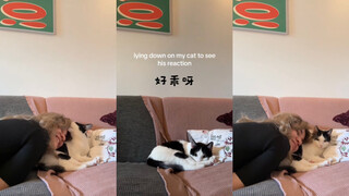 躺在猫猫身上，看看他的反应💗