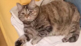 起来，陪妈唠唠