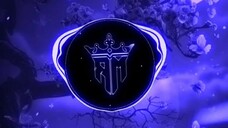 dj karera
